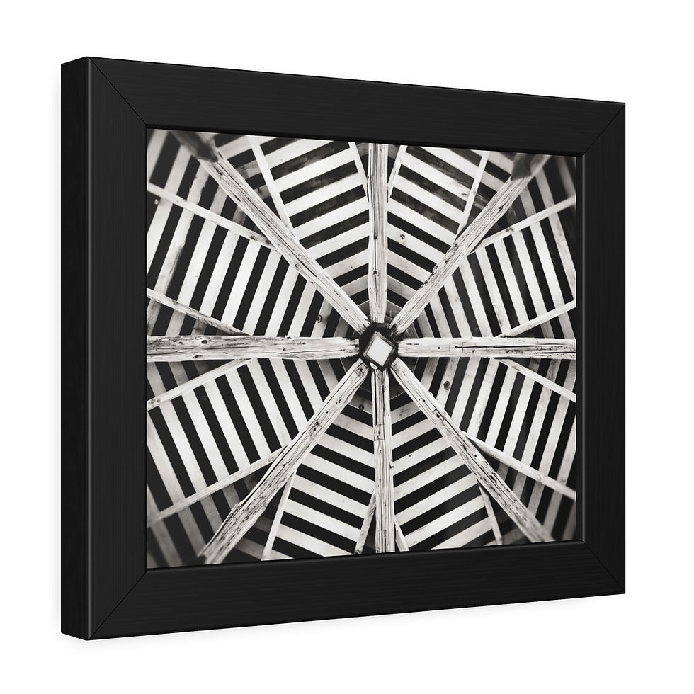 Thumbnail: Look Up - Framed Paper Print (Fine Art or Satin Semi-Gloss Photo Paper, 9 sizes)