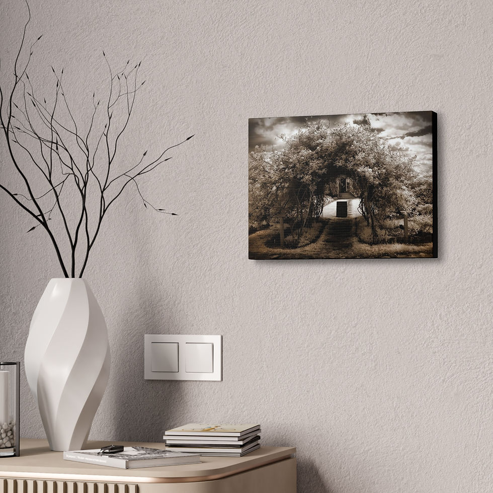Thumbnail:  Arbor Trellis in Sepia Canvas Print — Stretched Wall Art (7 sizes)