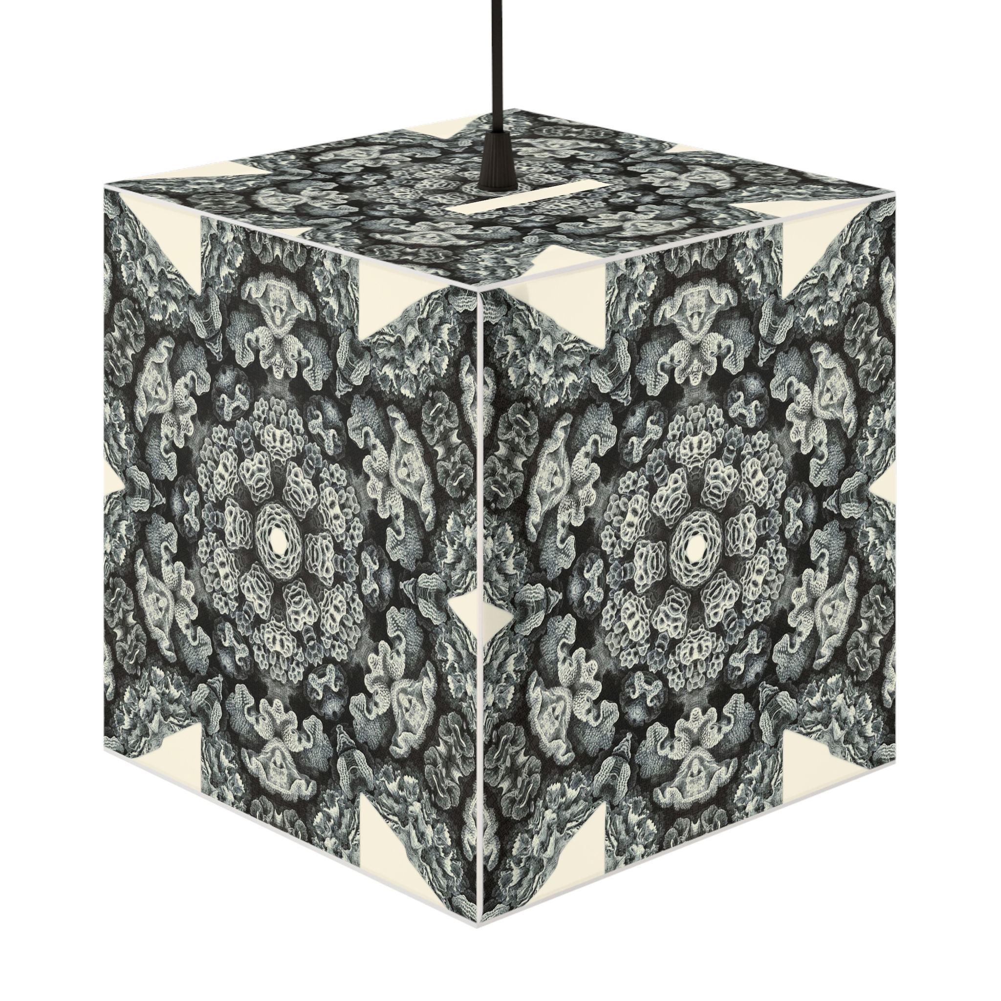 Black & White Coral Lamp on a Stand