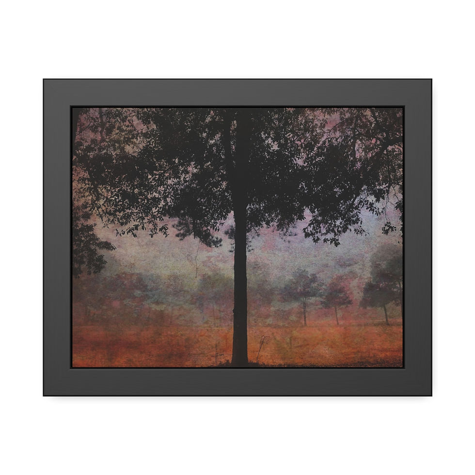 Thumbnail: Silhouette Tree Framed Paper Prints - (6 sizes)