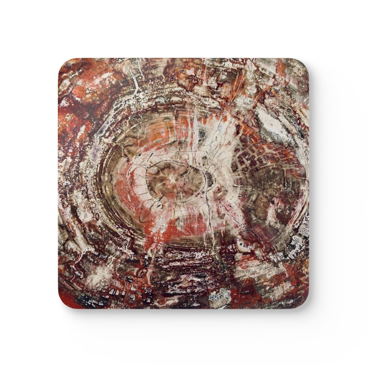 Fossilized Tree Stump Corkwood Coaster Set of 4