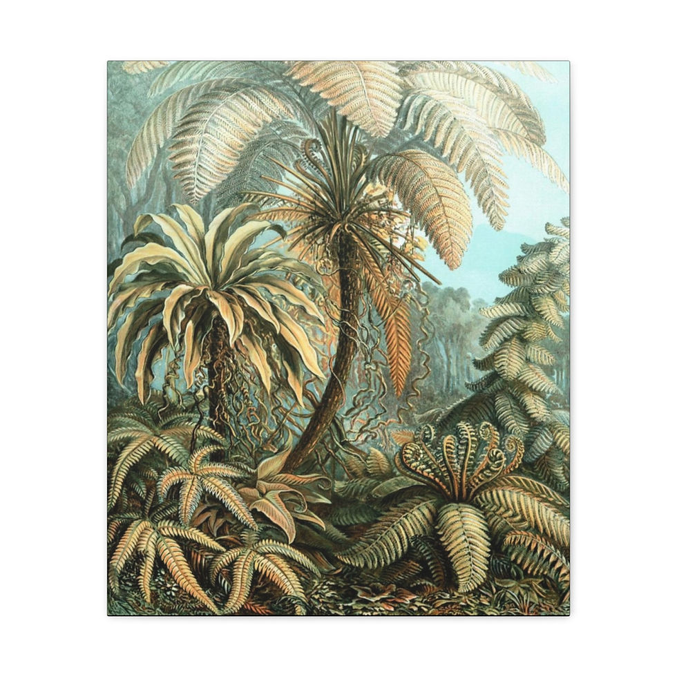 Thumbnail: Tropical Jungle Canvas Gallery Wraps (9 variants)