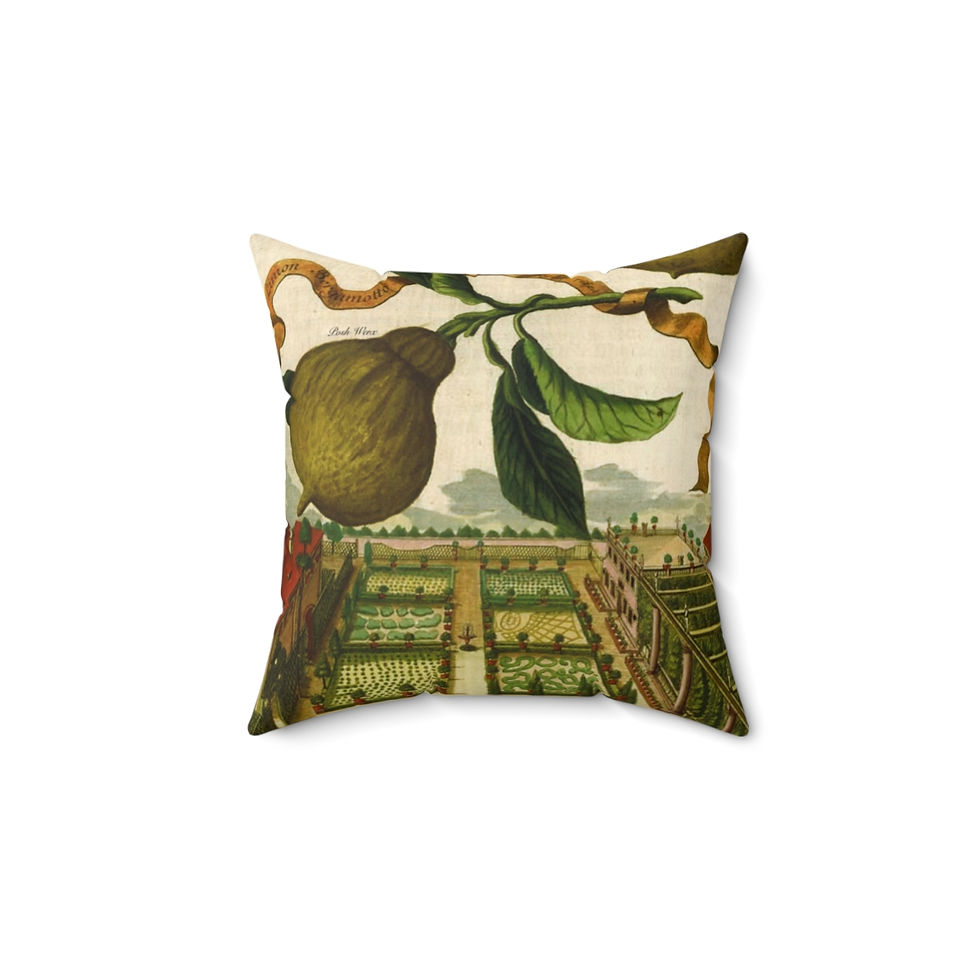 Thumbnail: Italian Lemon Farm Faux Suede Square Pillow (4 sizes)