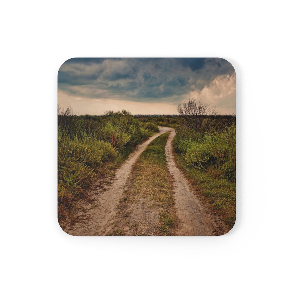 Dirt Road Corkwood Coaster Set of 4