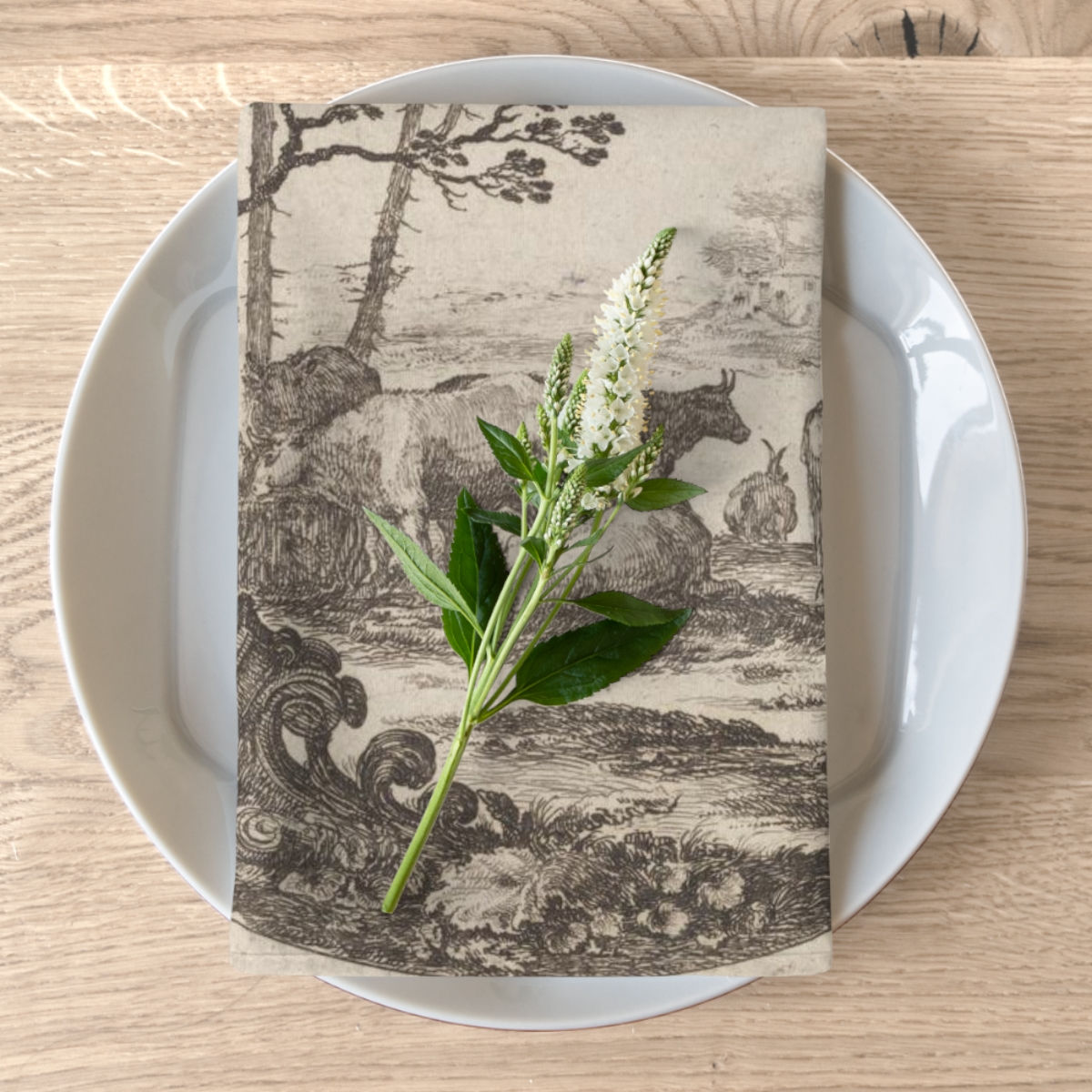 French Toile Vignette Napkins set of 4