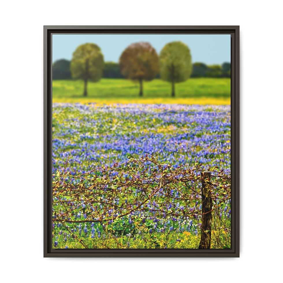 Thumbnail: Three Trees Framed Matte Canvas Print — Wildflower Field Landscape (13 variants)