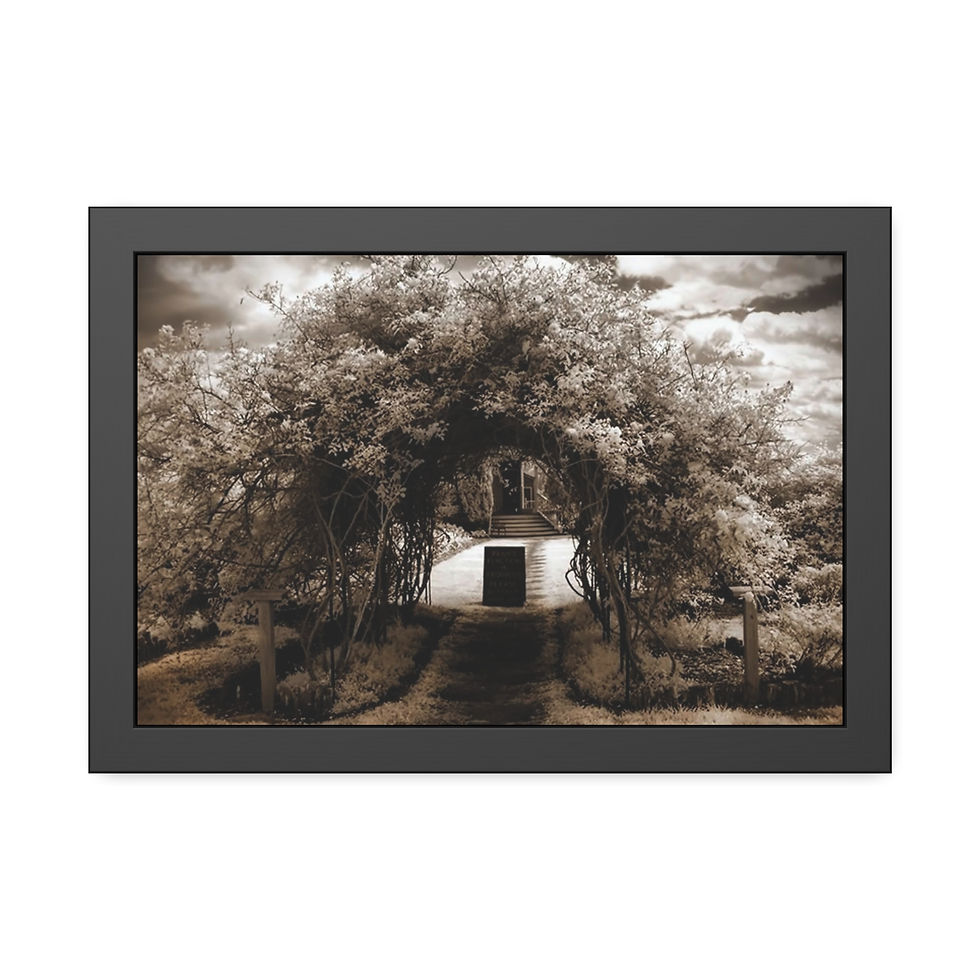 Thumbnail: Arbor Trellis Framed Print (Fine Art or Satin Semi-Gloss Photo Paper 8 variants)