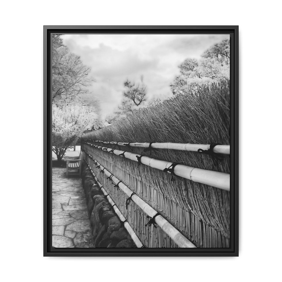 Thumbnail: Outside The Zen Garden Framed Matte Canvas: Monochrome Photo Print (15 sizes)