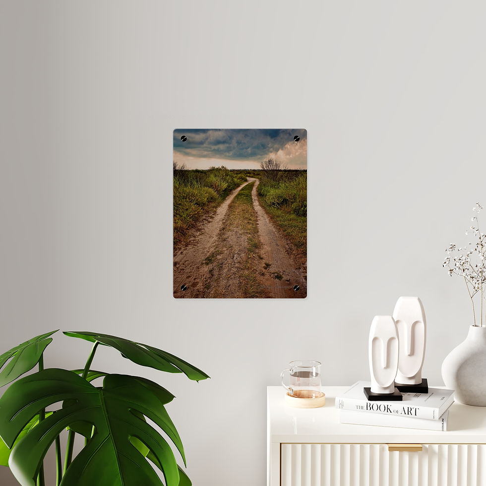 Thumbnail: Stormy Country Road Acrylic Wall Art Panels (4 sizes)
