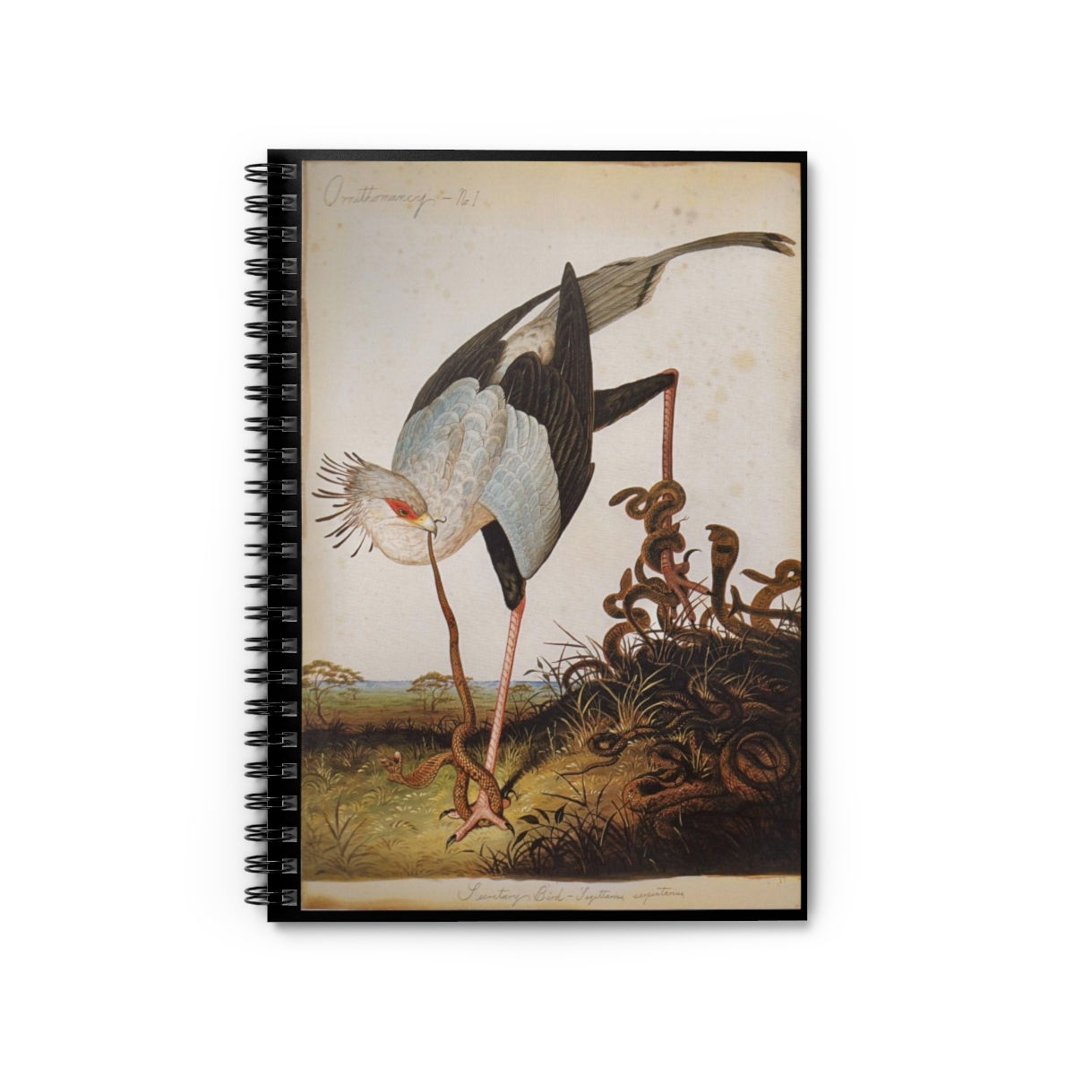 Secretary Bird Spiral Notebook - Ruled Line
