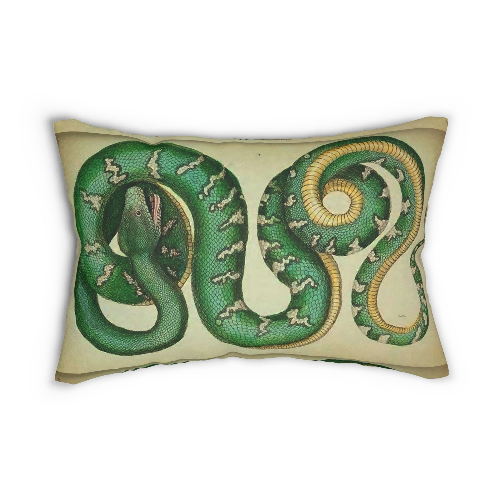 Antique Snake Print Spun Polyester Lumbar Pillow