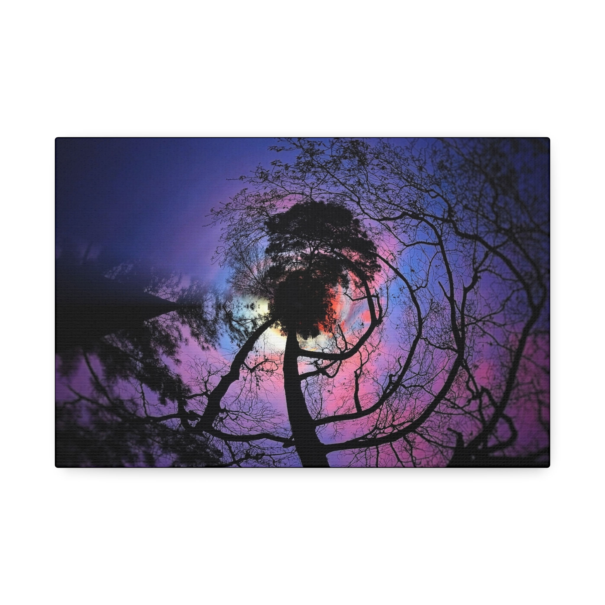 Ponderosa Swirl, Surreal Night Sky Canvas Print — Silhouette Tree 10 Sizes