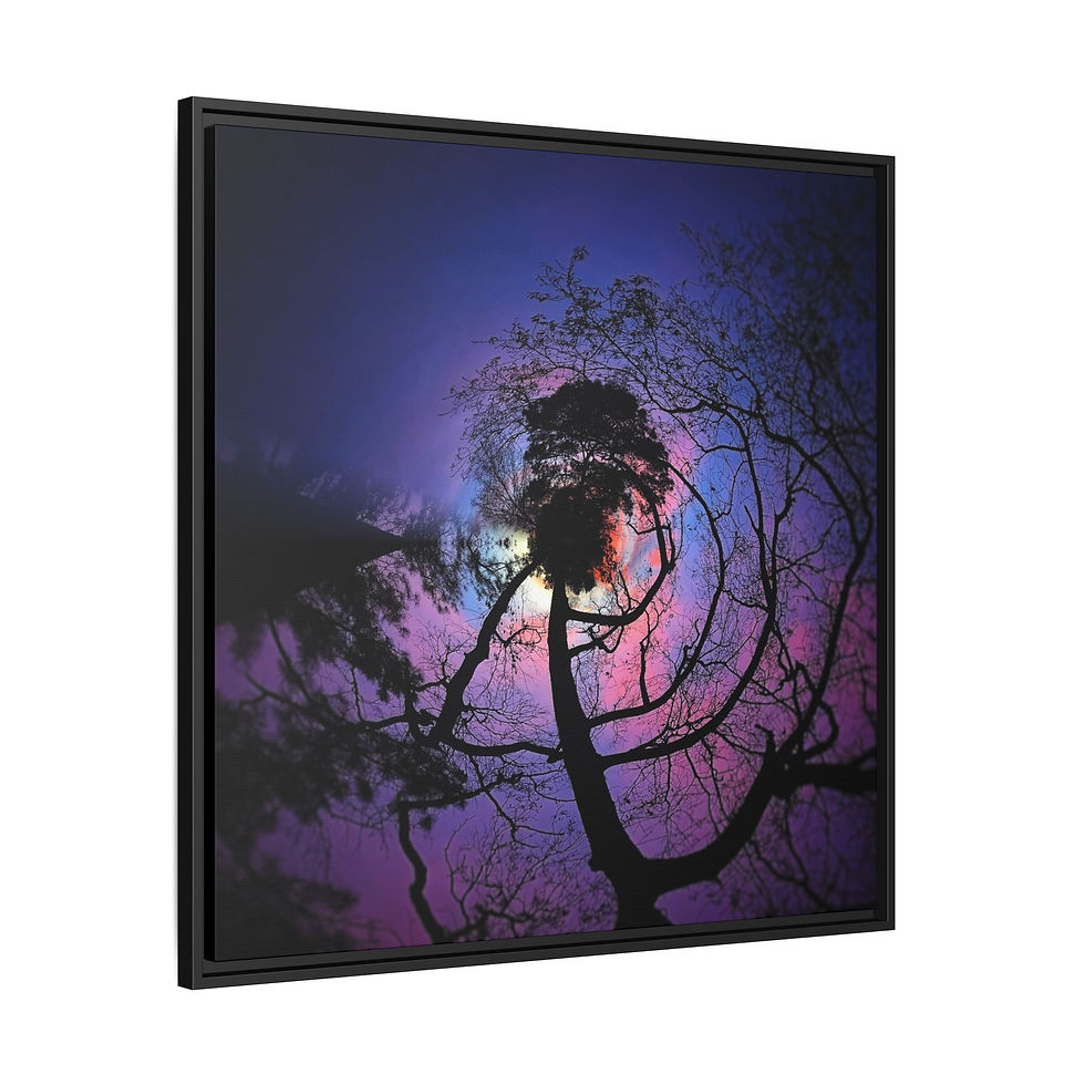 Thumbnail: Ponderosa Swirl, Surreal Night Sky Matte Canvas, Framed (Multi-color)