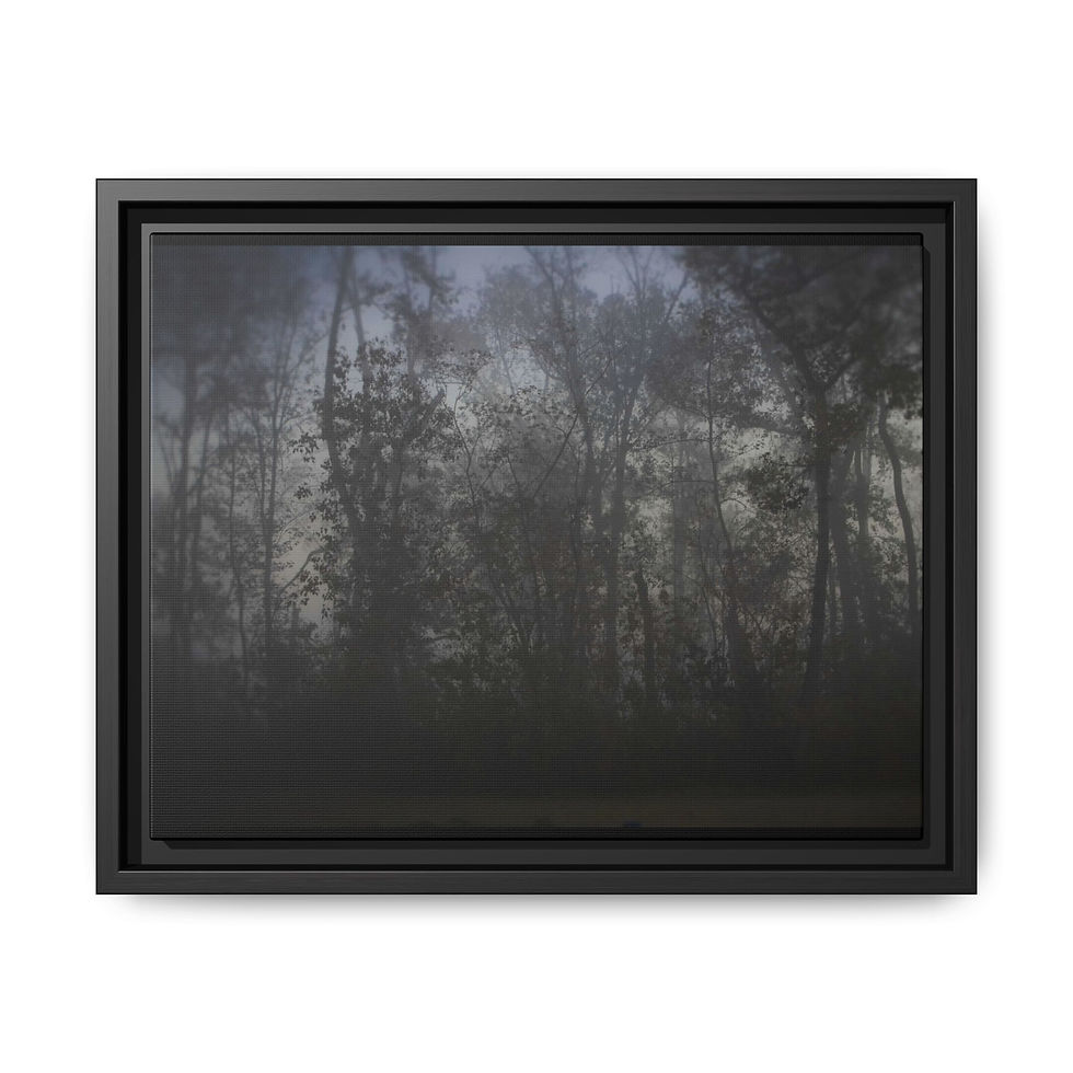 Thumbnail: Foggy Forest Framed Matte Canvas Wall Art (8 variants)