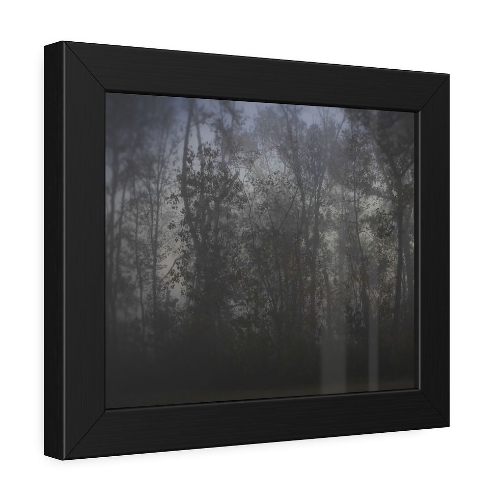 Thumbnail: Foggy Forest Framed Fine Art Photo or Semi-Gloss Print - Wall Art (6 sizes)