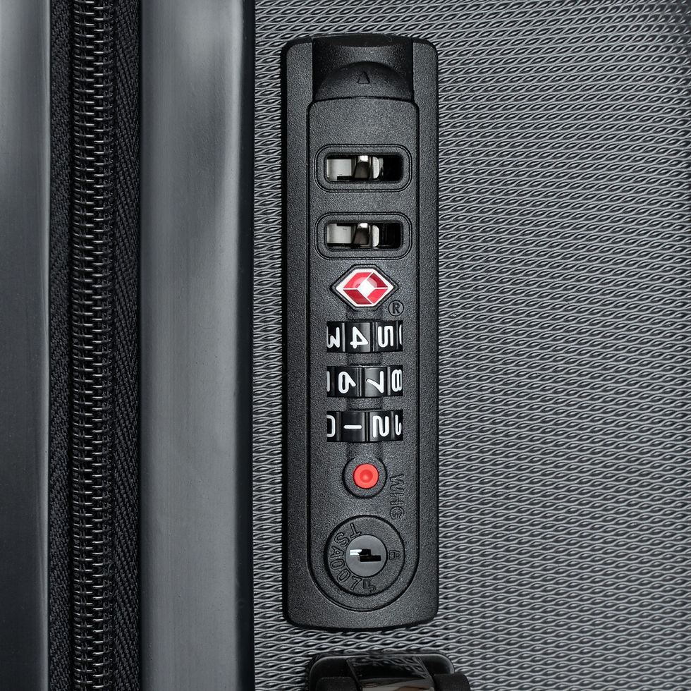 Thumbnail: Renaissance Coin Suitcase (3 Sizes)