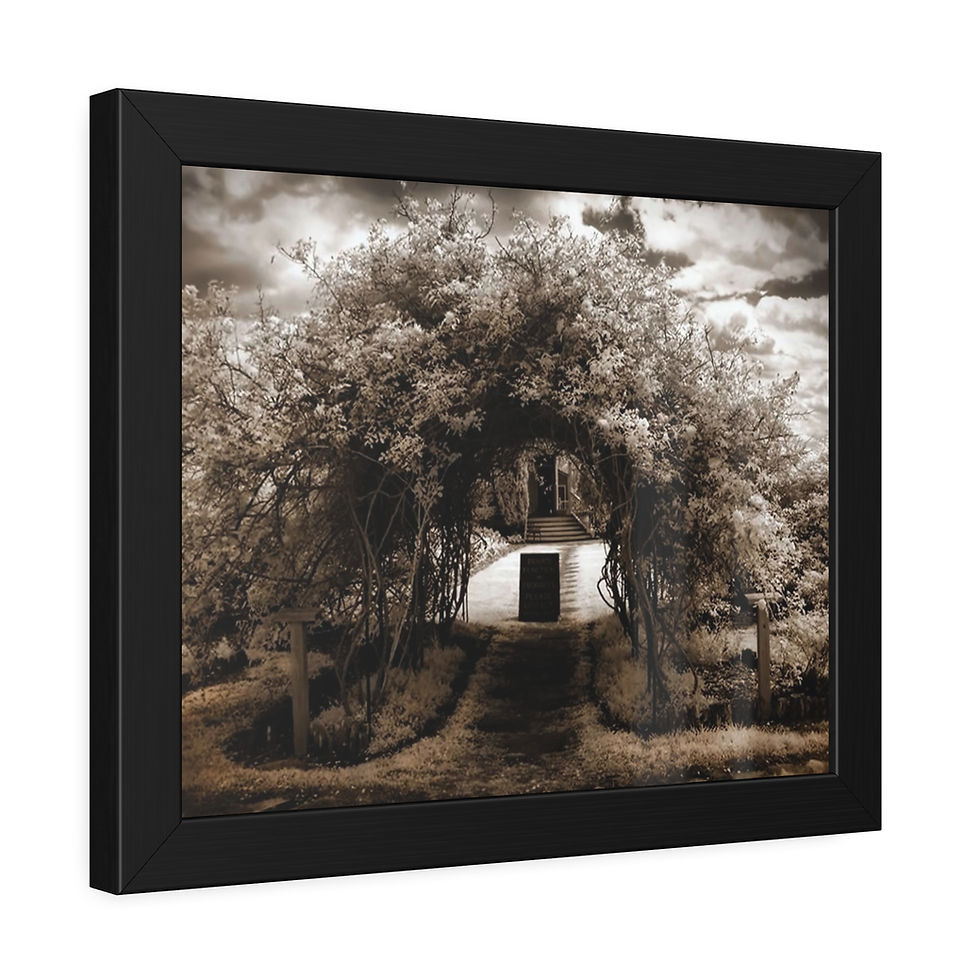 Thumbnail: Arbor Trellis Framed Print (Fine Art or Satin Semi-Gloss Photo Paper 8 variants)