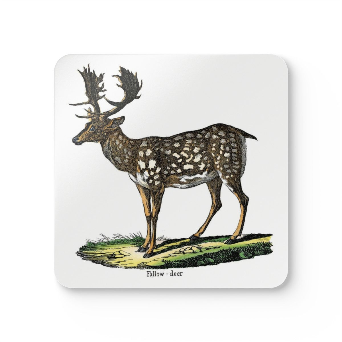 Fallow Deer Corkwood Coaster Set of 4