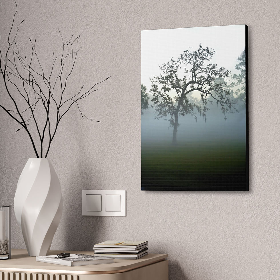 Thumbnail: Foggy Oak Tree Canvas Print – Misty Landscape Wall Art Stretched 1.5" 5 variants