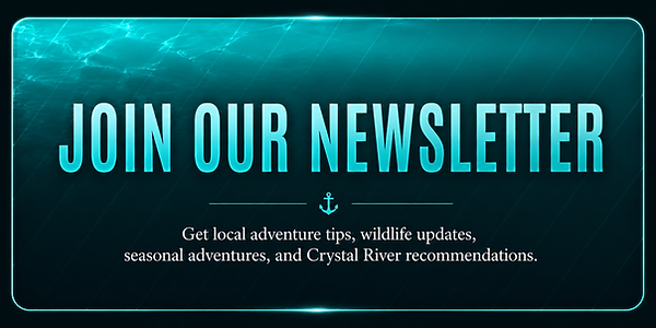 newsletter.png