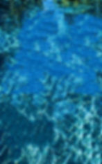 Background with no trees.jpg