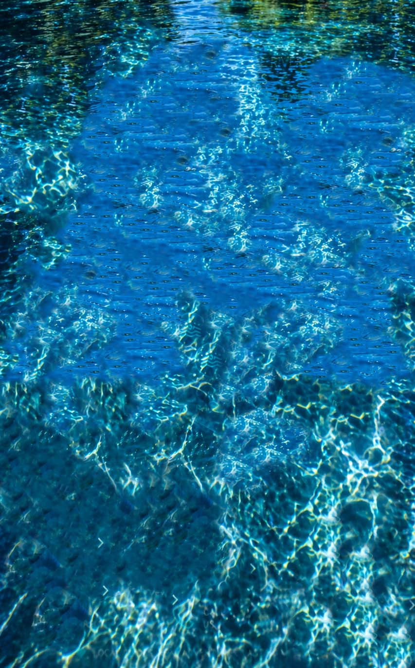 Background with no trees.jpg