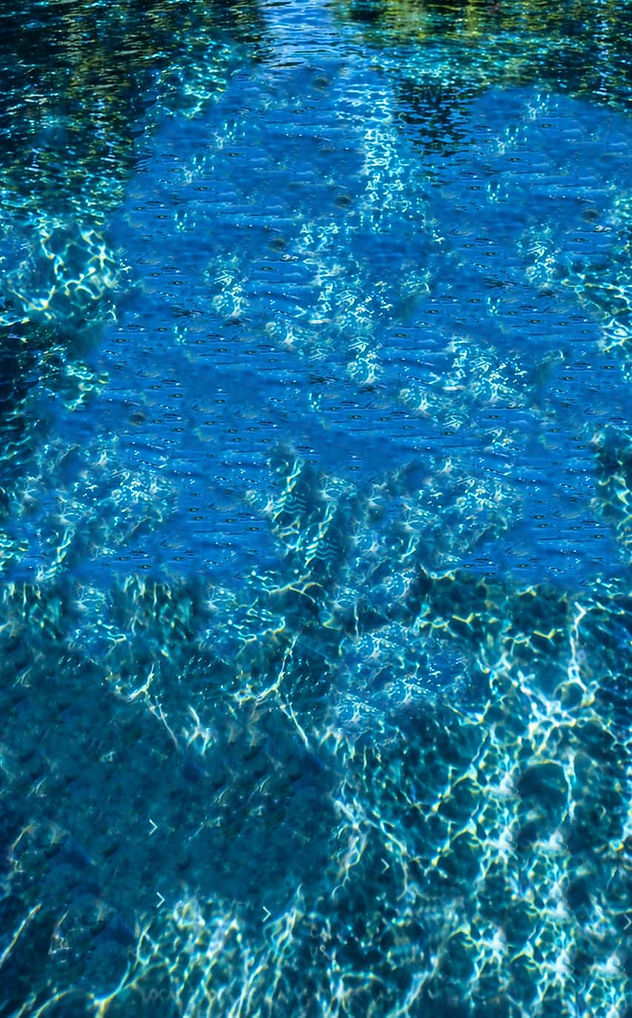 Background with no trees.jpg