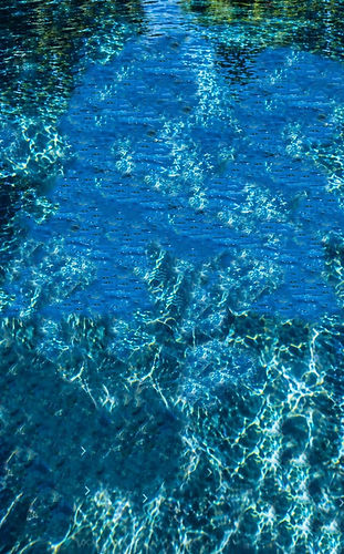 Background with no trees_edited.jpg