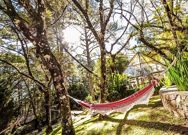 A Natureza Exuberante Do Bosque Pousada Cantos E Contos Sul De Minas
