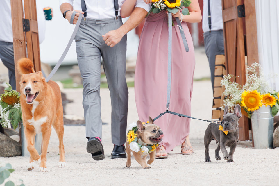 Pet Friendly Wisconsin wedding venue