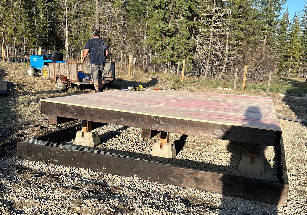 Base & Platform