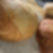 Regular Sourdough Boule