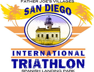 SDIT Logo
