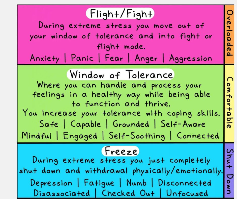 Window Of Tolerance window-of-tolerance