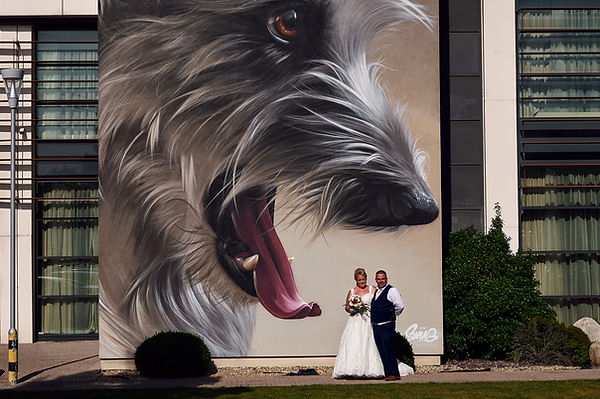Crowne Plaza Hotel Dundalk Wedding