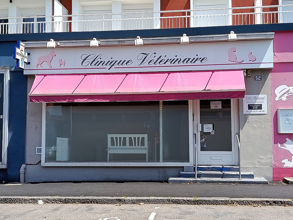 Vitrine.jpg