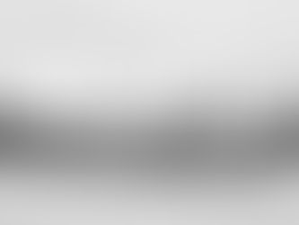 本日はあいにくの雨のため中止