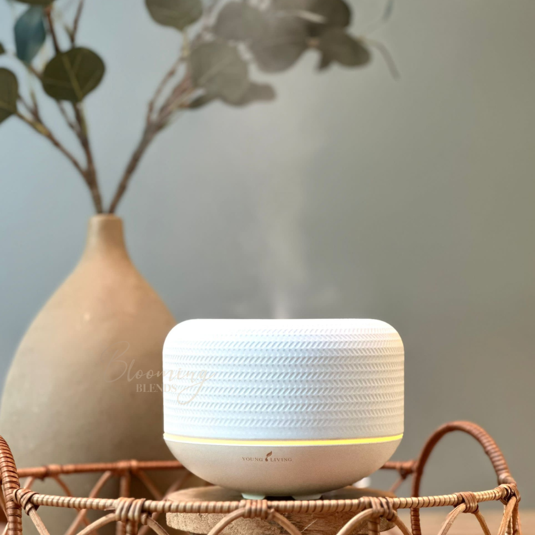 Starterkit met de Macaron