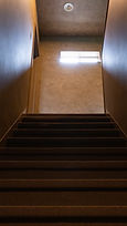 DSC_8714.jpg