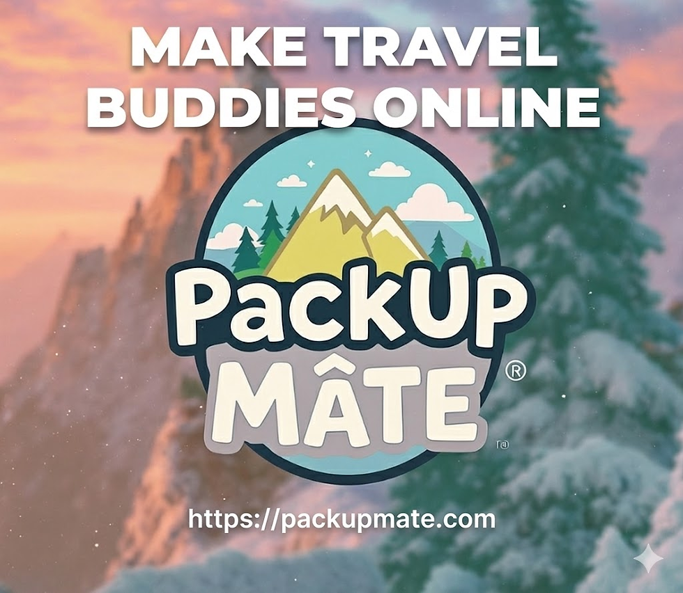 Make Travel Buddies Online