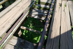 P1100459.JPG
