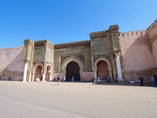 P1000696_lu br vfff-min.jpg