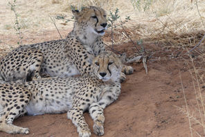 P1080794 (15).JPG