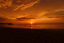 P1060596-min.JPG