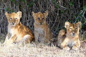 P1060579 (29)_ji.jpg