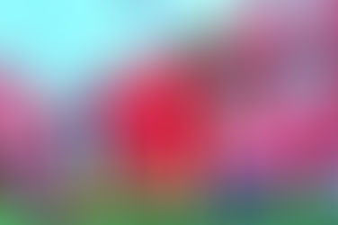 Melaka ou Malacca, petite ville classée à l'Unesco