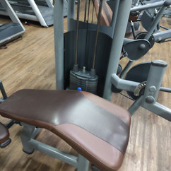Mesa flexora
