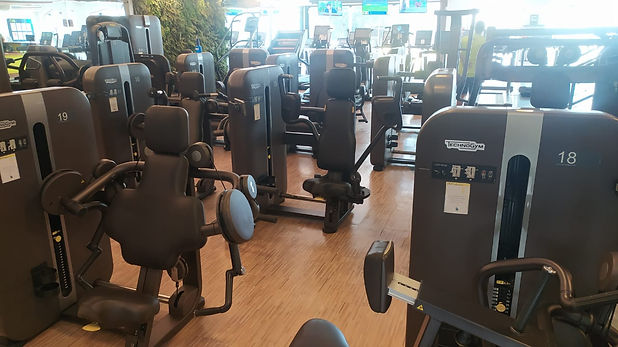lote_equipamentos_seminovos_technogym.jp