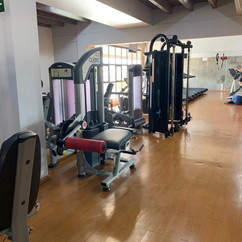 Mesa flexora