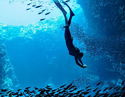 diving-fnc-header-1.jpeg
